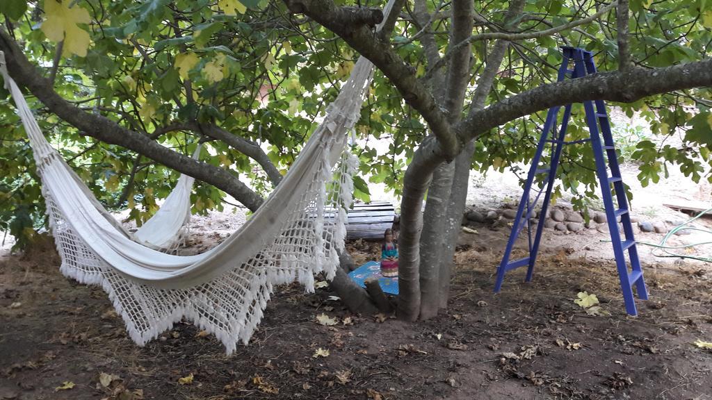 Cabana De Adobe En Lago Rapel Kültér fotó